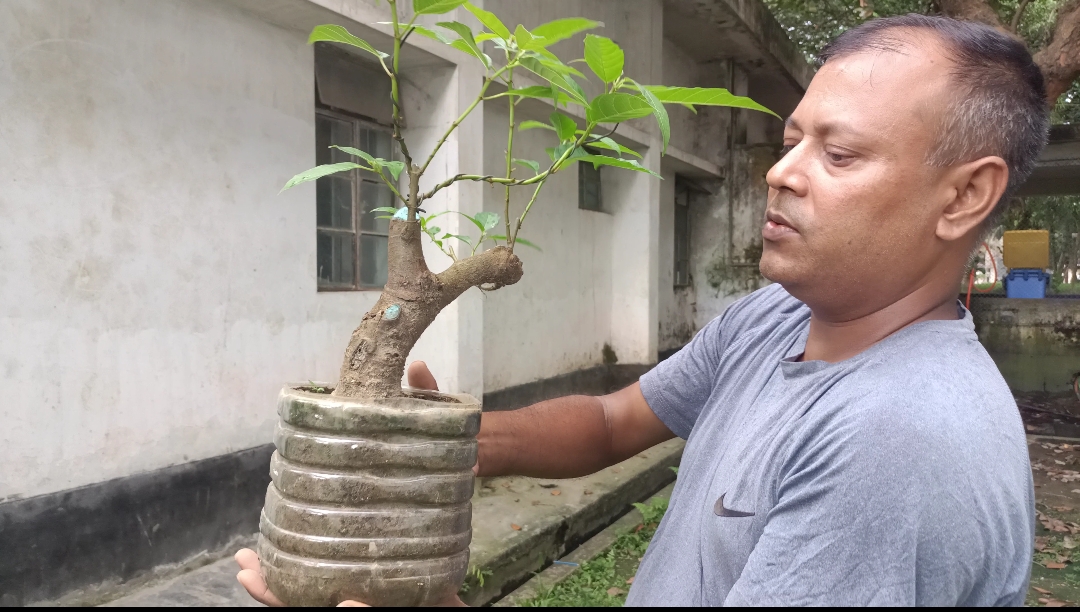 স্নেহের তূর্য্য’র অসামান্য সৃষ্টিশীলতাঃ সংগ্রহে ৬৪ প্রজাতির অর্ধসহস্রাধিক বনসাই
